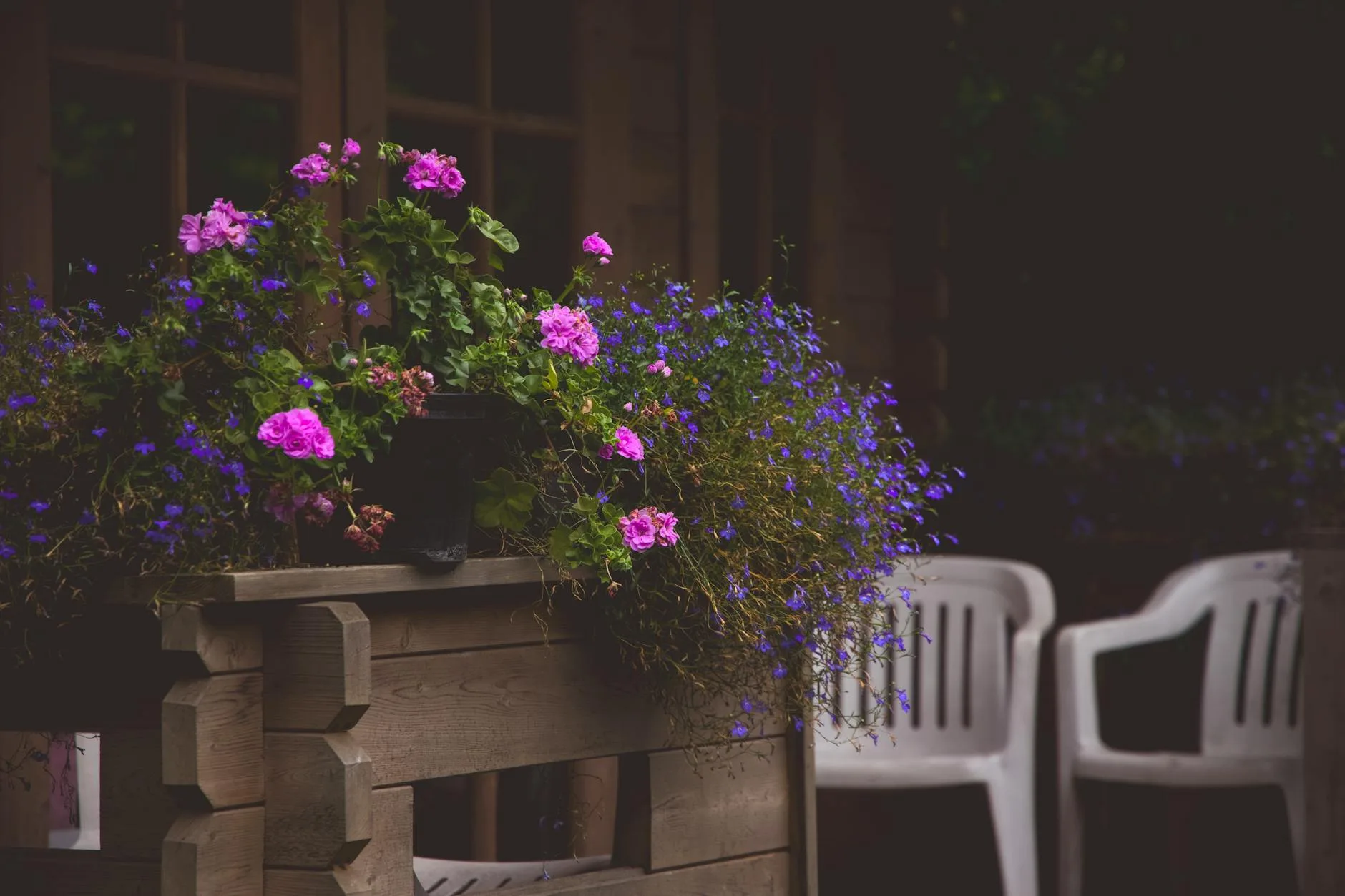 Garden patio with evening lights in summer