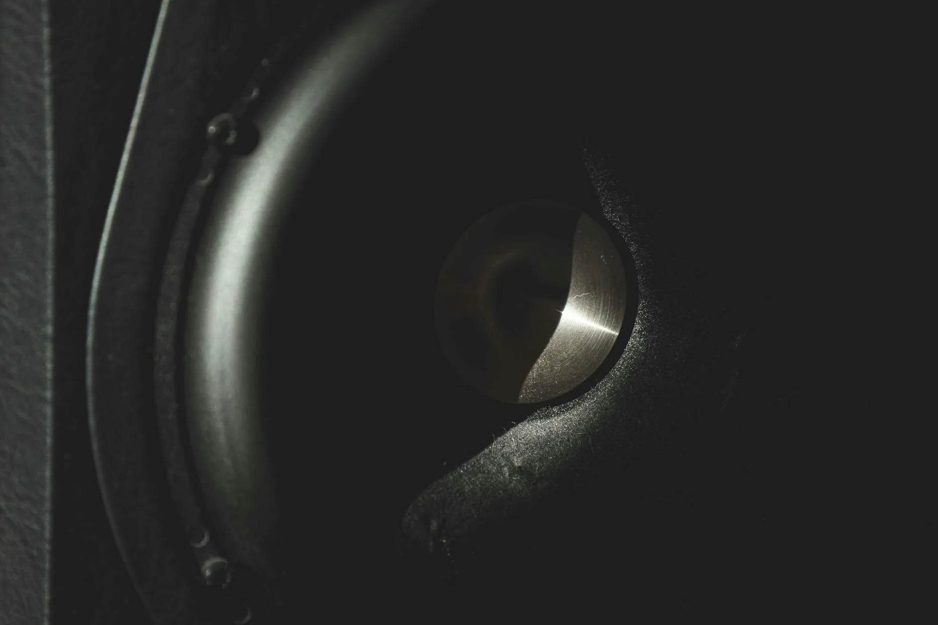 Close-up of a speaker woofer driver cone
