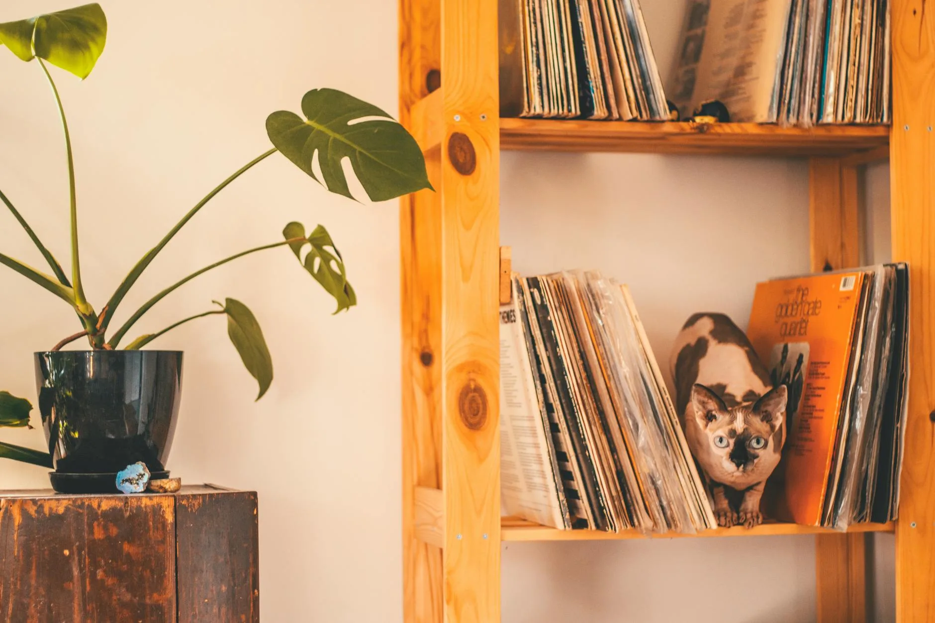Vinyl record collection stored on a shelf at home