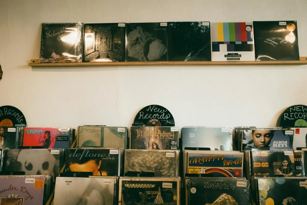 Vinyl record collection stored vertically on shelving unit